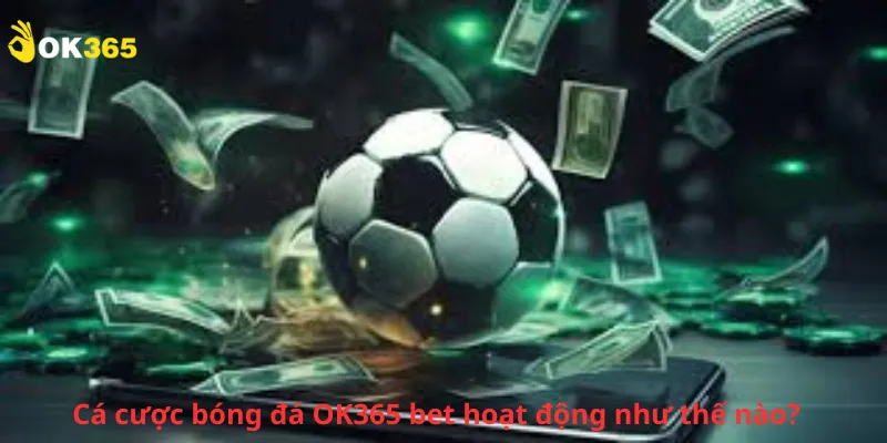 Cá cược bóng đá OK365 bet hoạt động như thế nào?