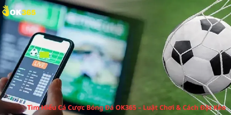 Tìm Hiểu Cá Cược Bóng Đá OK365 – Luật Chơi & Cách Đặt Kèo