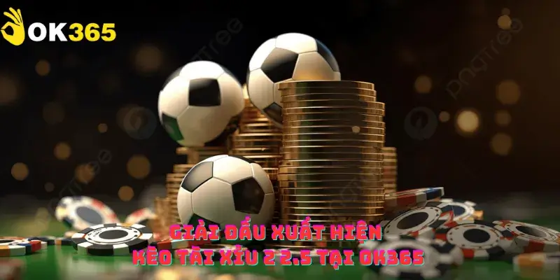 Giải đấu xuất hiện kèo tài xỉu 2 2.5 tại OK365