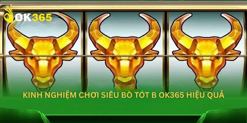 Kinh nghiệm chơi Siêu Bò Tót B Ok365.app hiệu quả