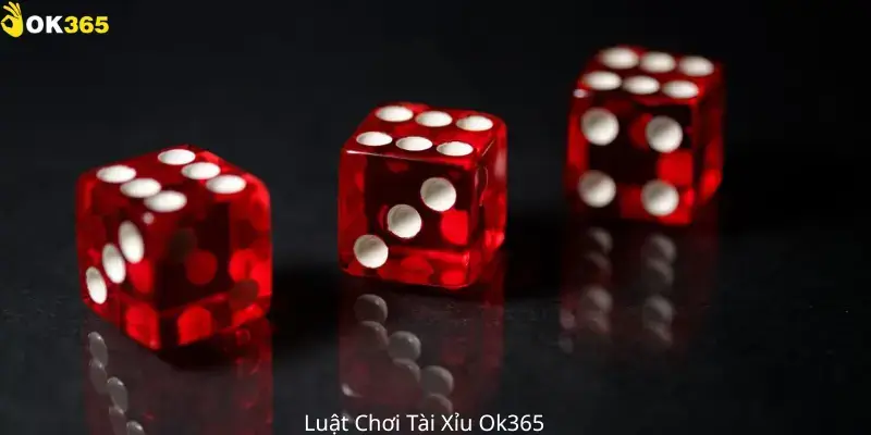 Luật Chơi Tài Xỉu OK365