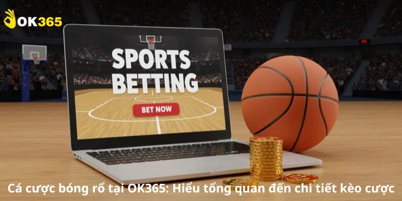 Cá cược bóng rổ tại OK365: Hiểu tổng quan đến chi tiết kèo cược